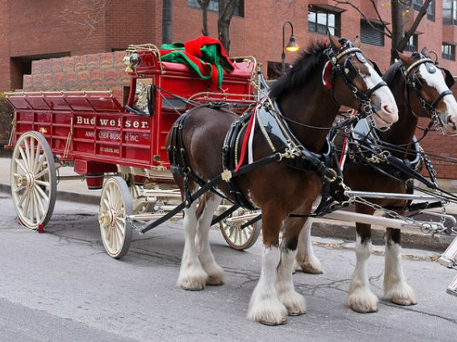 The Budweiser Clydesdales Aren't In This Year's Super Bowl Commercial. Here's Why.