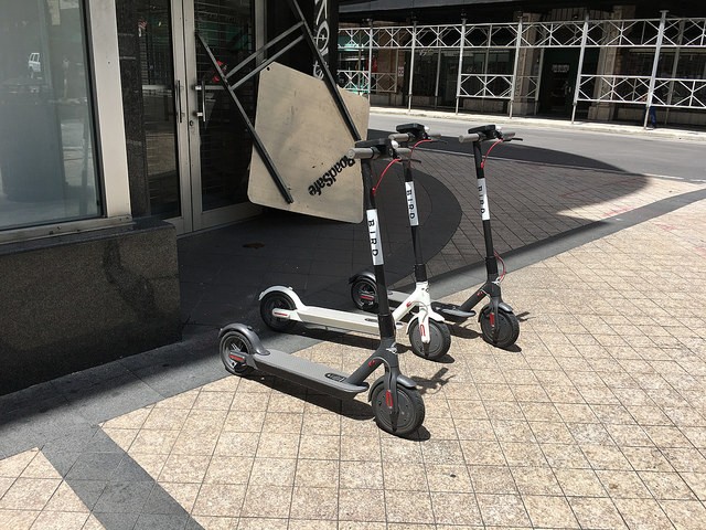 Alas, poor Bird Scooters, we hardly knew thee.