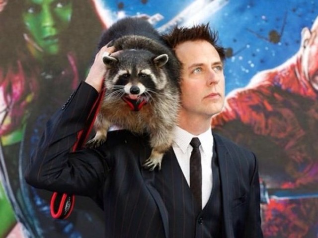 James Gunn has a thing for raccoons.