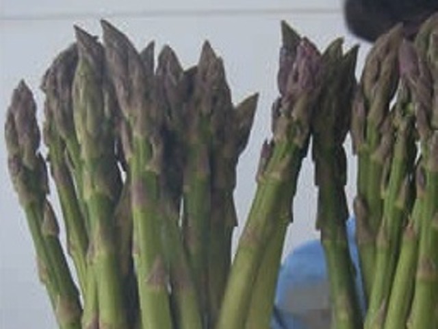 Post-Dispatch Defends Story on Asparagus And Race, Says Not Part of A "Liberal Conspiracy"