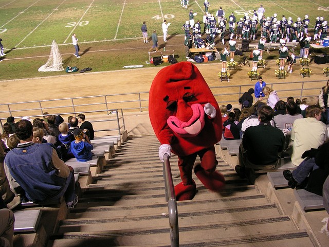 We're not sure what this mascot is supposed to be. A kidney? A jellybean?