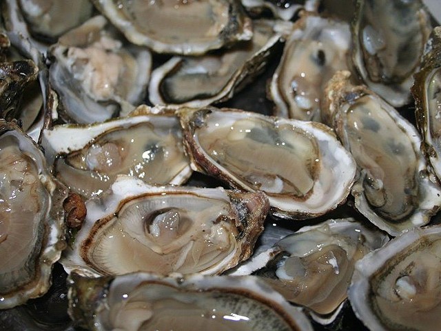 Study: Oysters "Functionally Extinct"