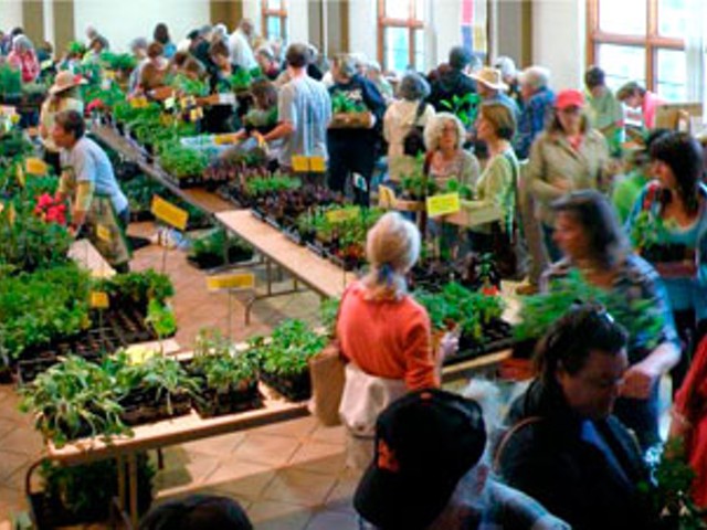 Saturday is Webster Groves Herb Society's Annual Herb Sale