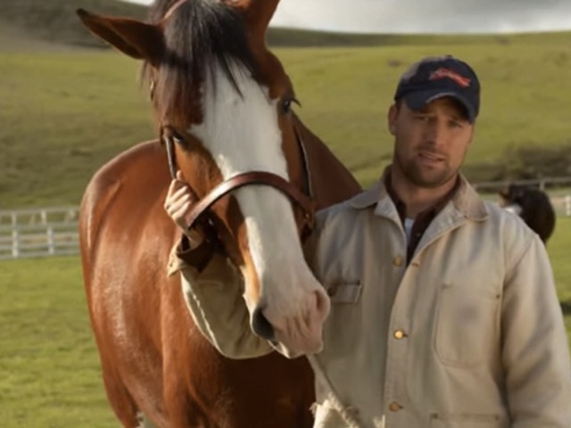 Help this handsome rancher and his majestic horse! | YouTube screenshot