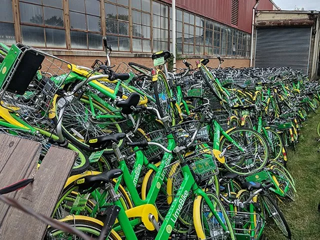 Dozens of Lime damaged bikes awaiting repair turned up in an alley behind a warehouse in August.