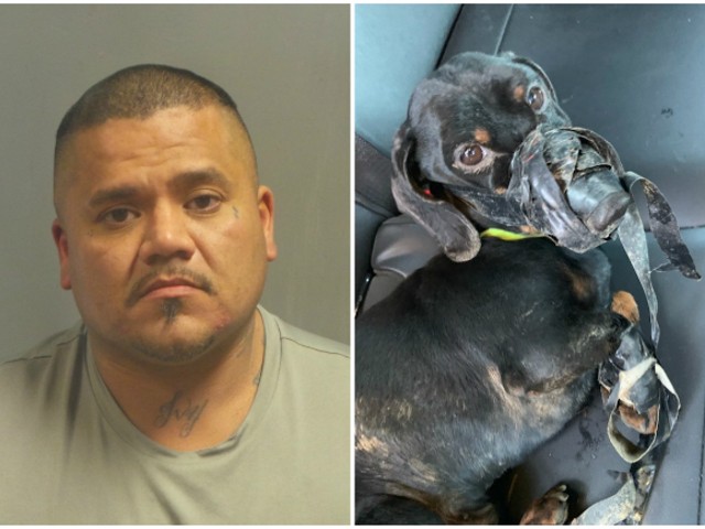Paul Garcia bound a dog with duct tape and dumped it in a ditch, authorities say.