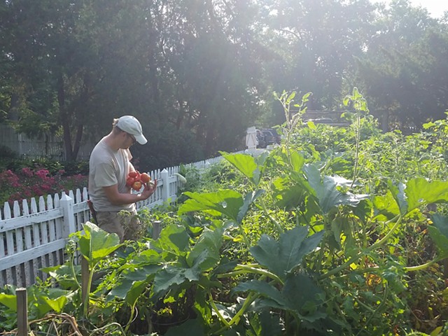 Tower Grove Park's kitchen garden is behind the park's greenhouse.