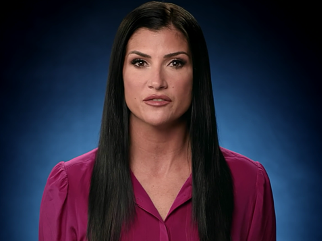 Dana Loesch and the NRA Are Trying to Stoke a Civil War Again