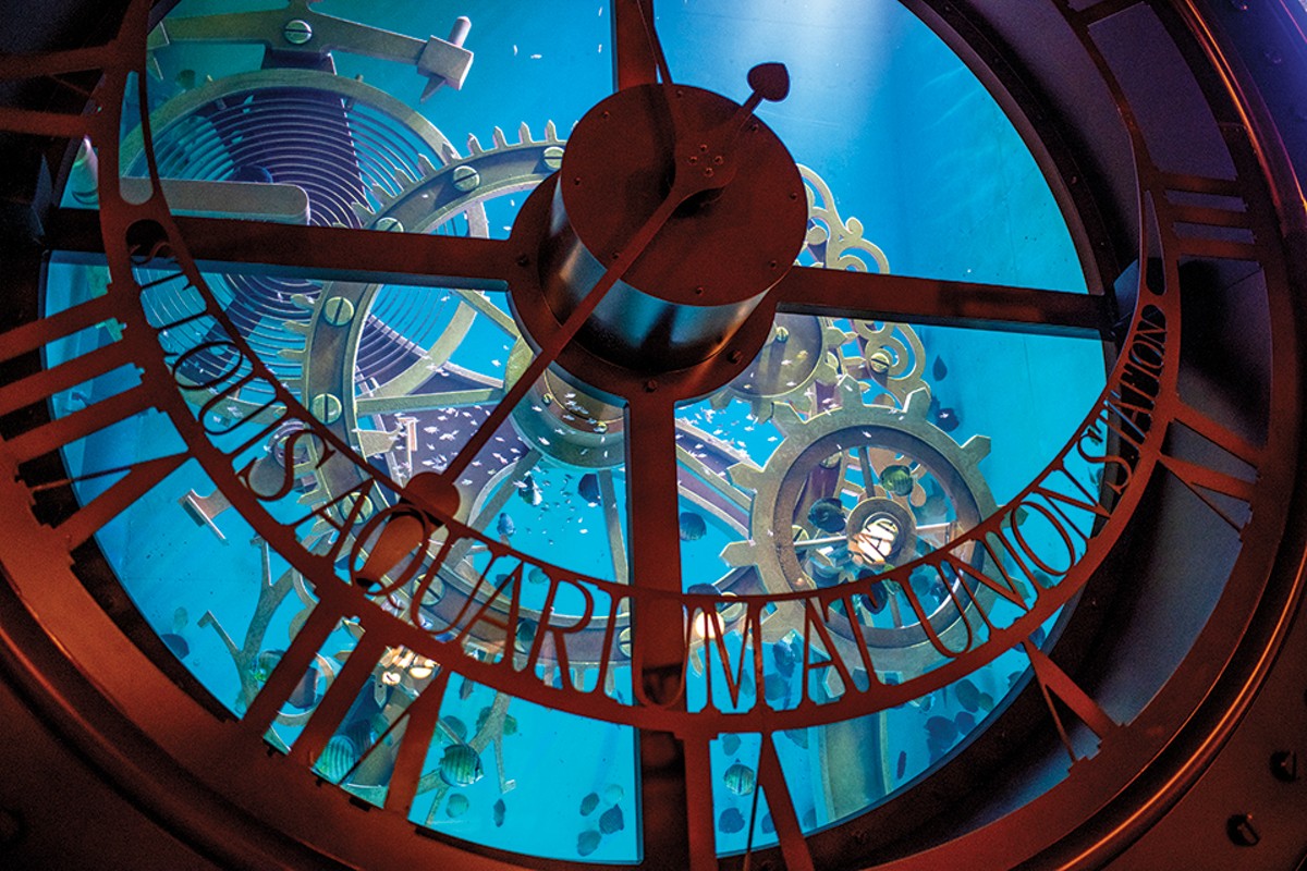 There's plenty to spark the imagination at the St. Louis Aquarium at Union Station.