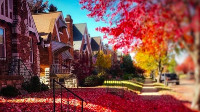 20 Photos That Prove Fall in St. Louis Is Particularly Gorgeous This Year