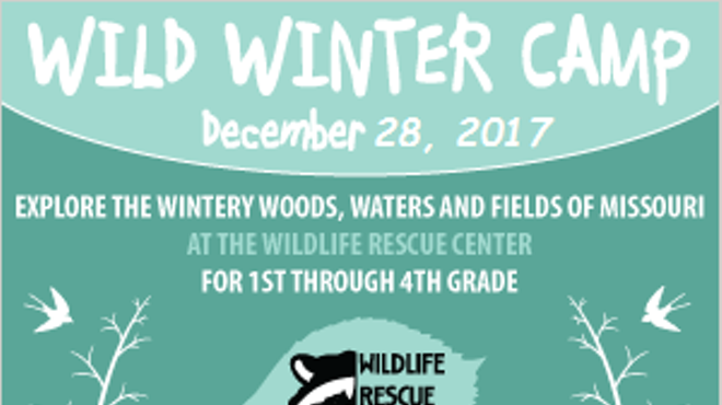 Wild Winter Camp