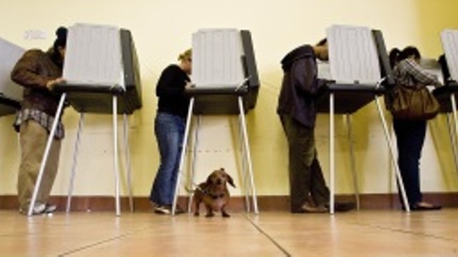 Canine Americans are not allowed to vote.