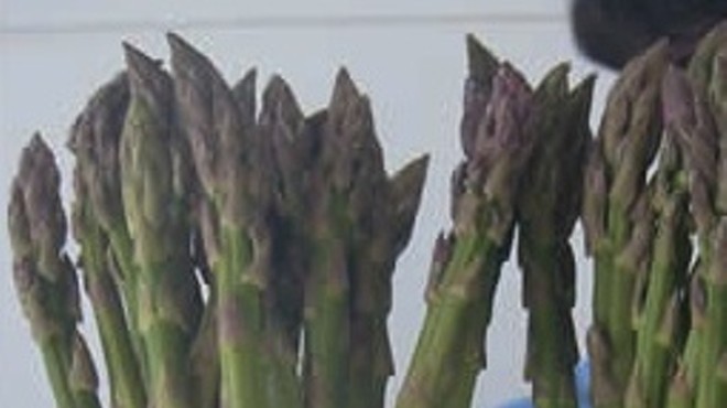 Post-Dispatch Defends Story on Asparagus And Race, Says Not Part of A "Liberal Conspiracy"