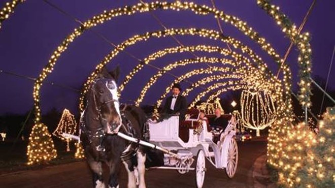 A horse and carriage during Winter Wonderland.
