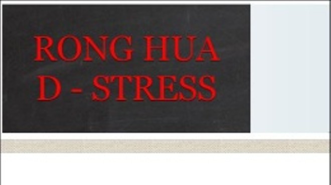 Screen cap of Rong Hua D-Stress' website