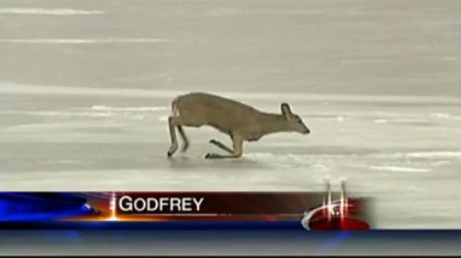 [UPDATE] Would Someone Please Shoot Those Deer Stuck on Mississippi River Ice Floe?!