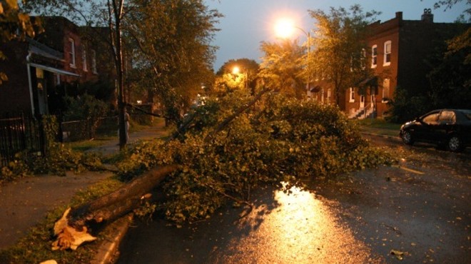 Last night's thunderstorm knocked over this tree onto Cherokee Street at Virginia Avenue.