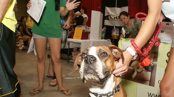 St. Louis Pet Expo 'Not Going to Occur Here,' Says St. Charles Family Arena