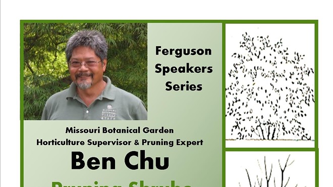 Ben Chu: Pruning Shrubs in the Landscape