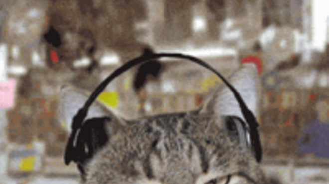 The Six Best Songs About Cats