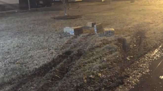 Overtaxed Amazon Driver Drove Onto Lawn, Hurled Packages Into Yard, Illinois Woman Says