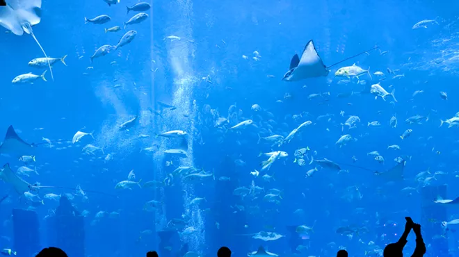 The New St. Louis Aquarium Is No Cause for Celebration