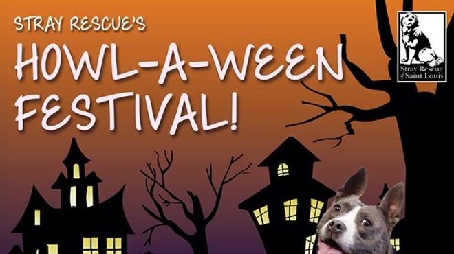 Stray Rescue's Howl-a-ween Festival!