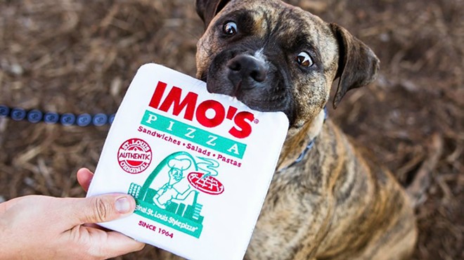All St. Louis Dogs Need This Imo’s Pizza Box Stuffed Toy