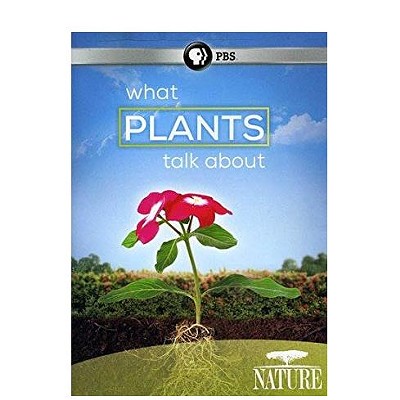What Plants Talk About