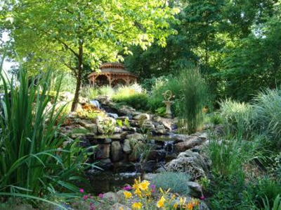St Louis Water Gardening Society Pond-O-Rama Tour