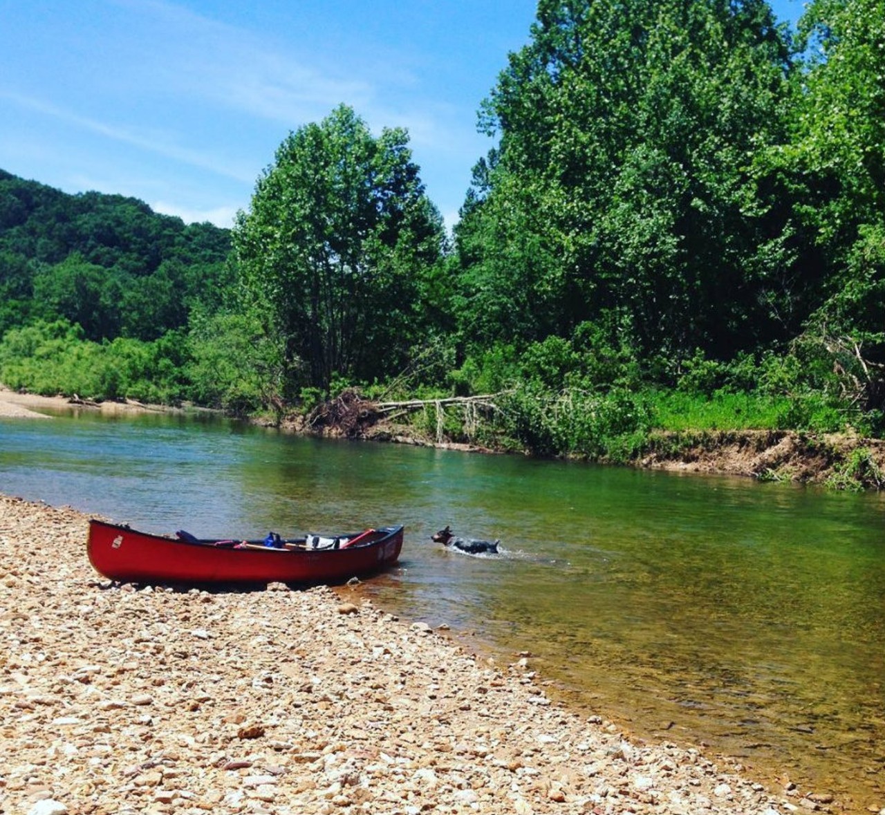 Jacks Fork
Eminence, MO
Jacks Fork juts off the Current River, and while it's less crowded, it's just as pretty. The river is formed where two streams (the North Prong and the South Prong) come together, making for a pretty view of the bluff-lined confluence. Photo courtesy of Instagram / hanks_hikes.