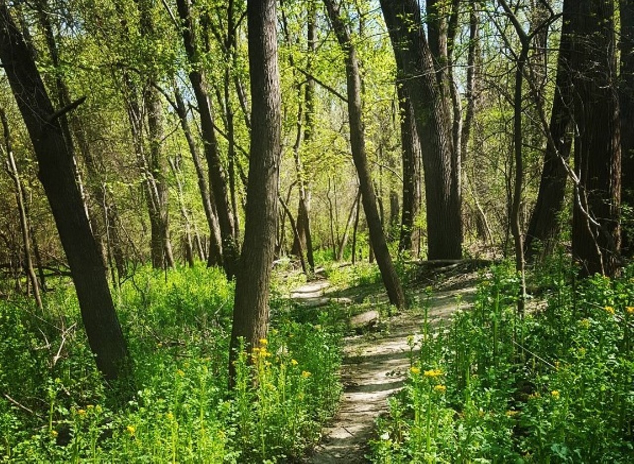Bangert Island is 2.1 miles long and consists of several small loops for varying difficulty, giving you a quality outdoors experience in your own backyard. You can access it from April to October. Photo courtesy of Instagram / iluvv2travel.
