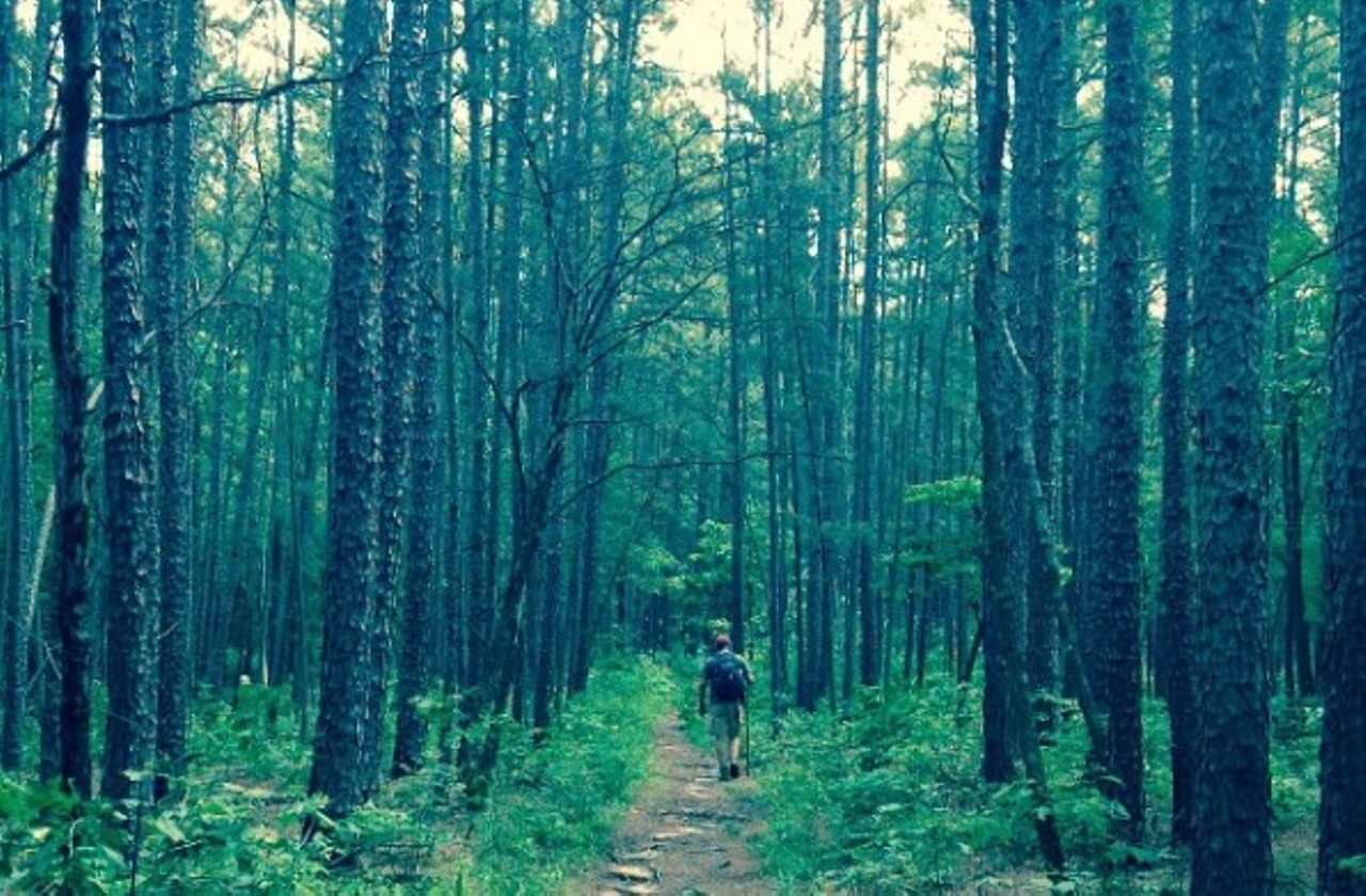 Whispering Pines Trail is challenging, but this scenic hike is truly hard to beat. You'll see everything from cool rock formations and various wildlife to creeks, old forests and stunning views. Photo courtesy of Instagram / marylouwatkins.