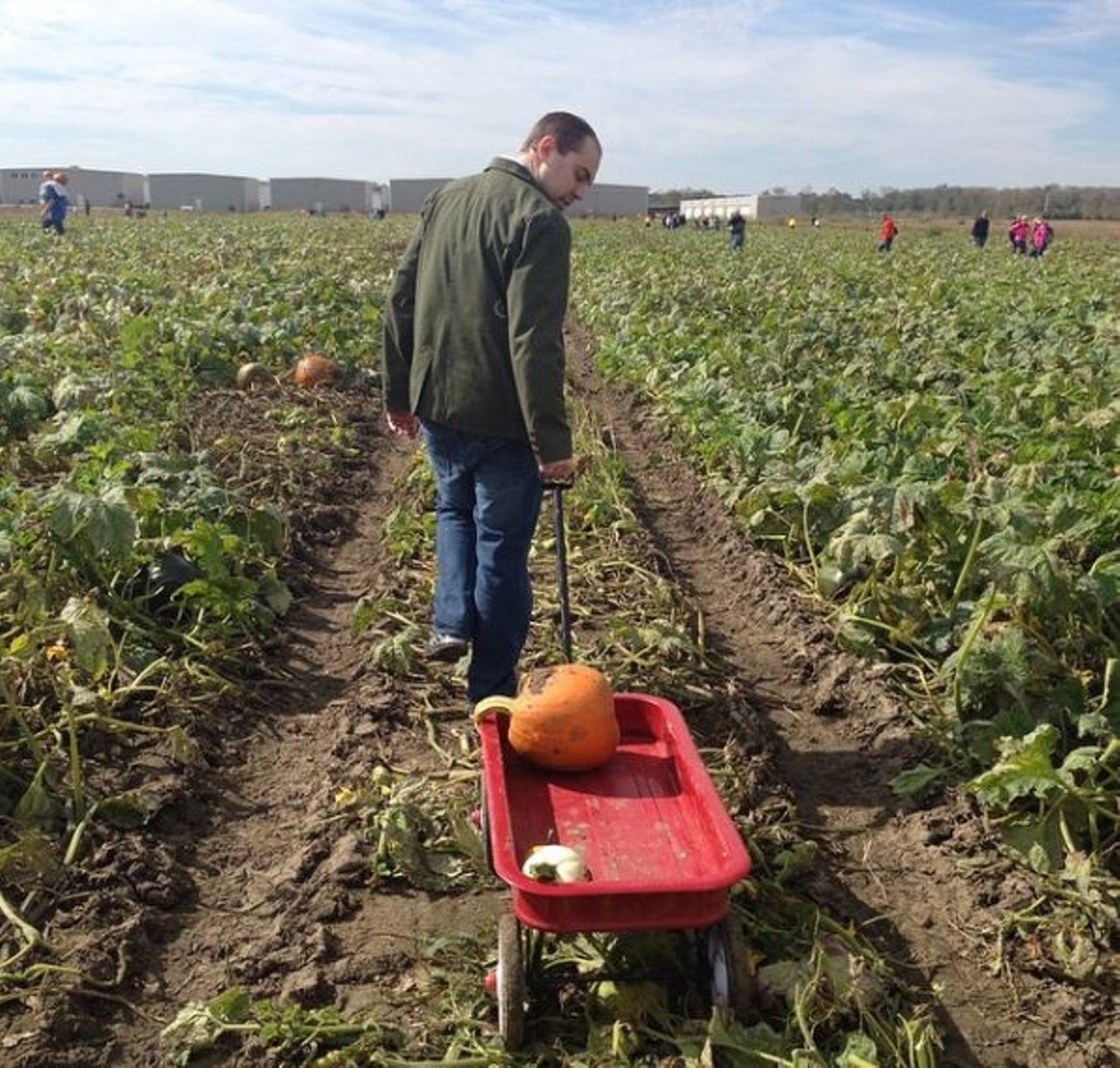 Thies Farm and Greenhouses
Locations in St. Louis and St. Charles
Pumpkins are such a big deal at Thies Farm that the farm is devoted to "Pumpkinland" each October, with mazes, food and more. Thies Farm has lots of homegrown produce available in addition to the pumpkin patch. Photo courtesy of Instagram / lindacsnr.