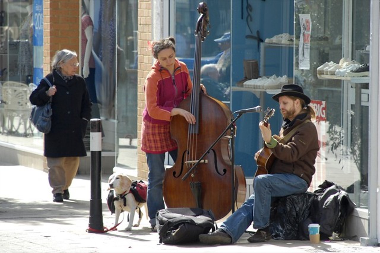 Buskers emerge from their cocoons and begin screaming their mating call, which experts describe at "horrible."
Photo credit: Martin Thomas / Flickr