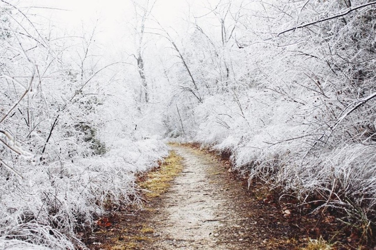 Defiance looks like a winter wonderland. Photo courtesy of Instagram / lizzie_h_.