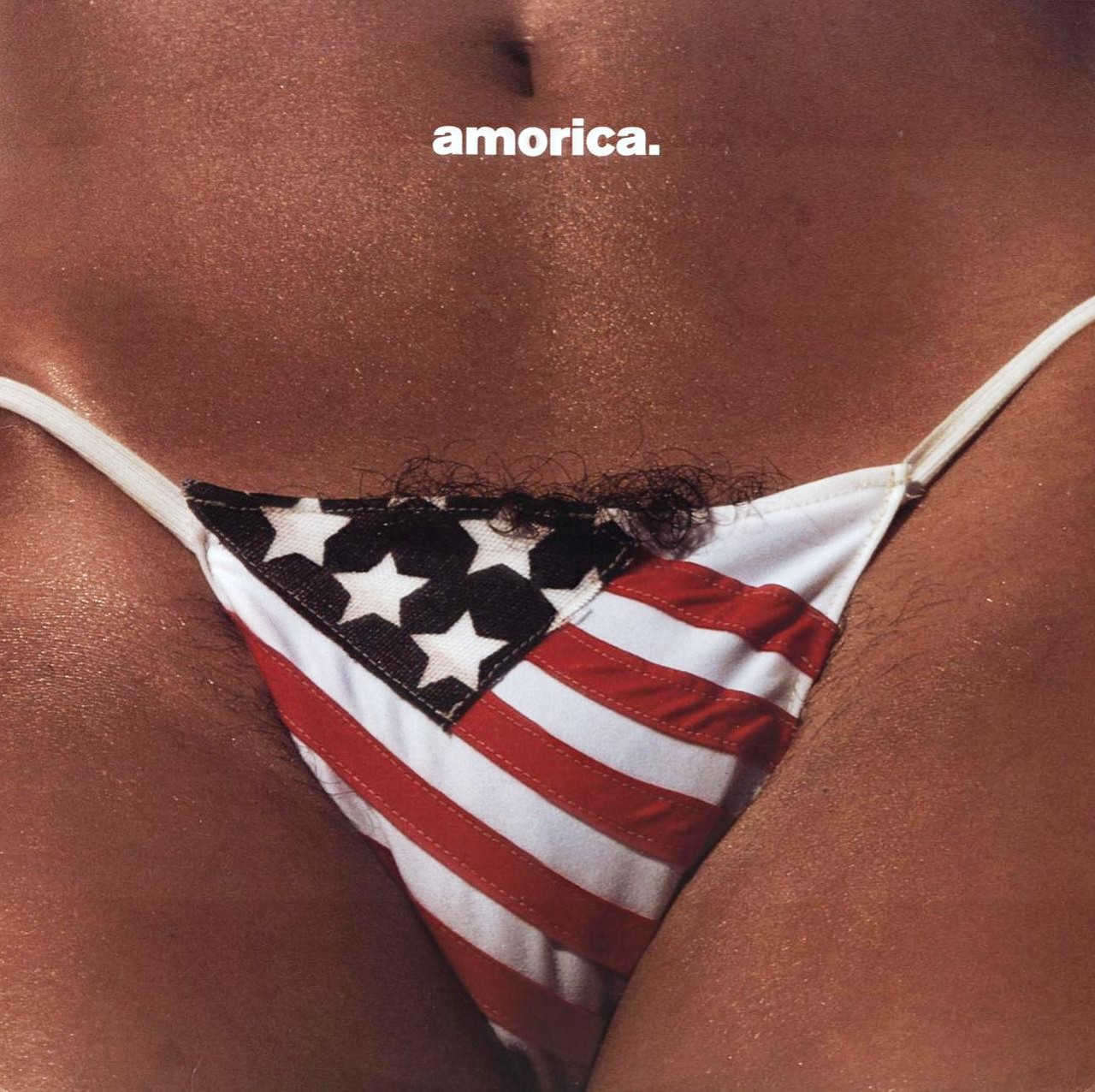 The Black Crowes - Amorica
Ah yes, pubes. Amorica by the Black Crowes was released in 1994, but an alternative cover was also issued to help boost album sales among people who didn't want album-cover pubes in their collection. If you didn't know, it's a take off the 1976 Bicentennial issue of Hustler, Larry Flynt's  free speech vehicle disguised as a magazine for people who love porn.