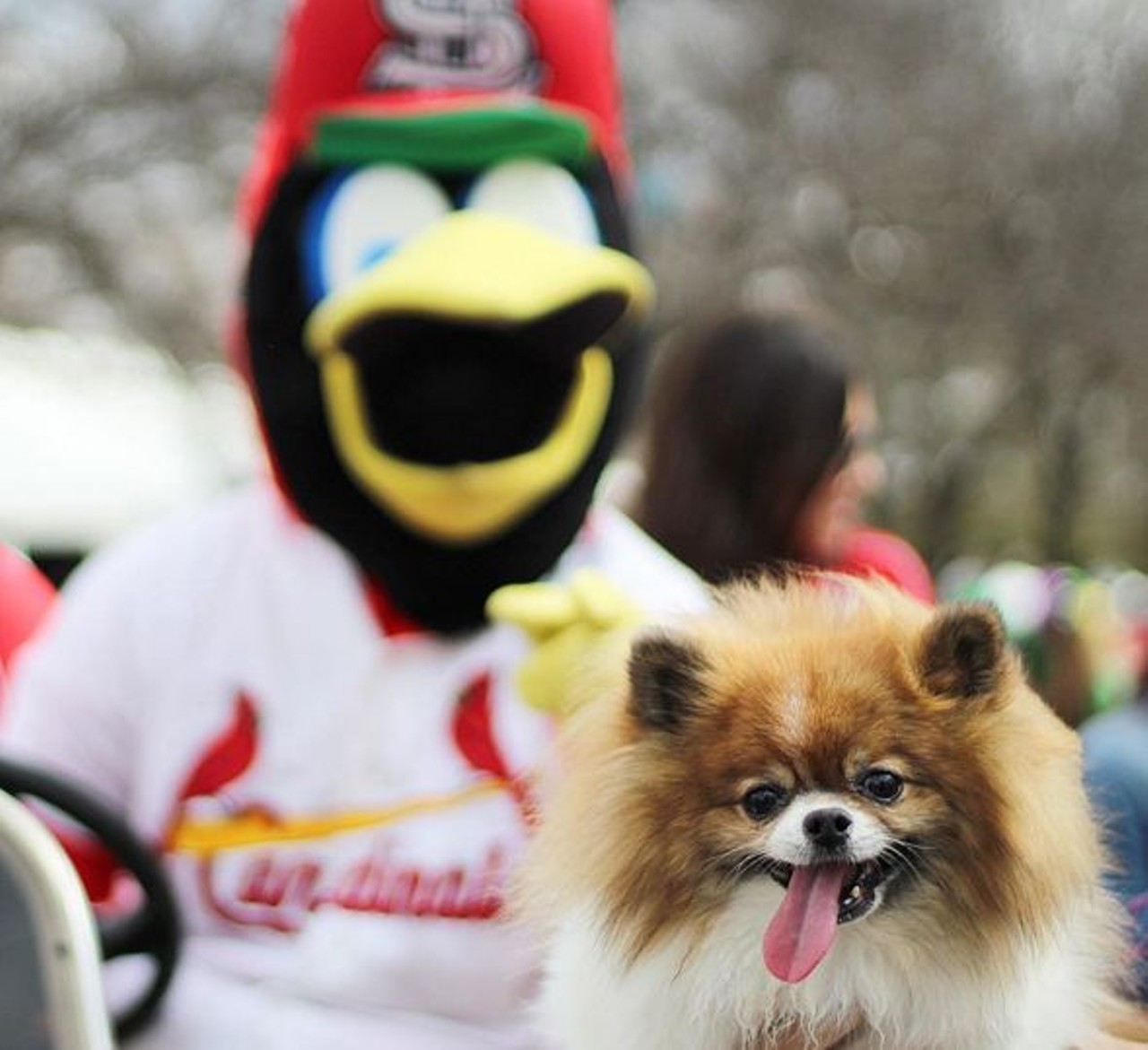 Oh, you know, just fangirling over Fredbird. Photo courtesy of Instagram / kobypom.
