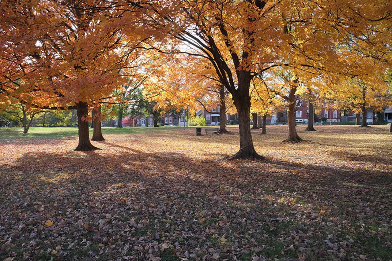 Gravois Park
(St. Louis, MO 63118)
Photo credit: Paul Sableman / Flickr