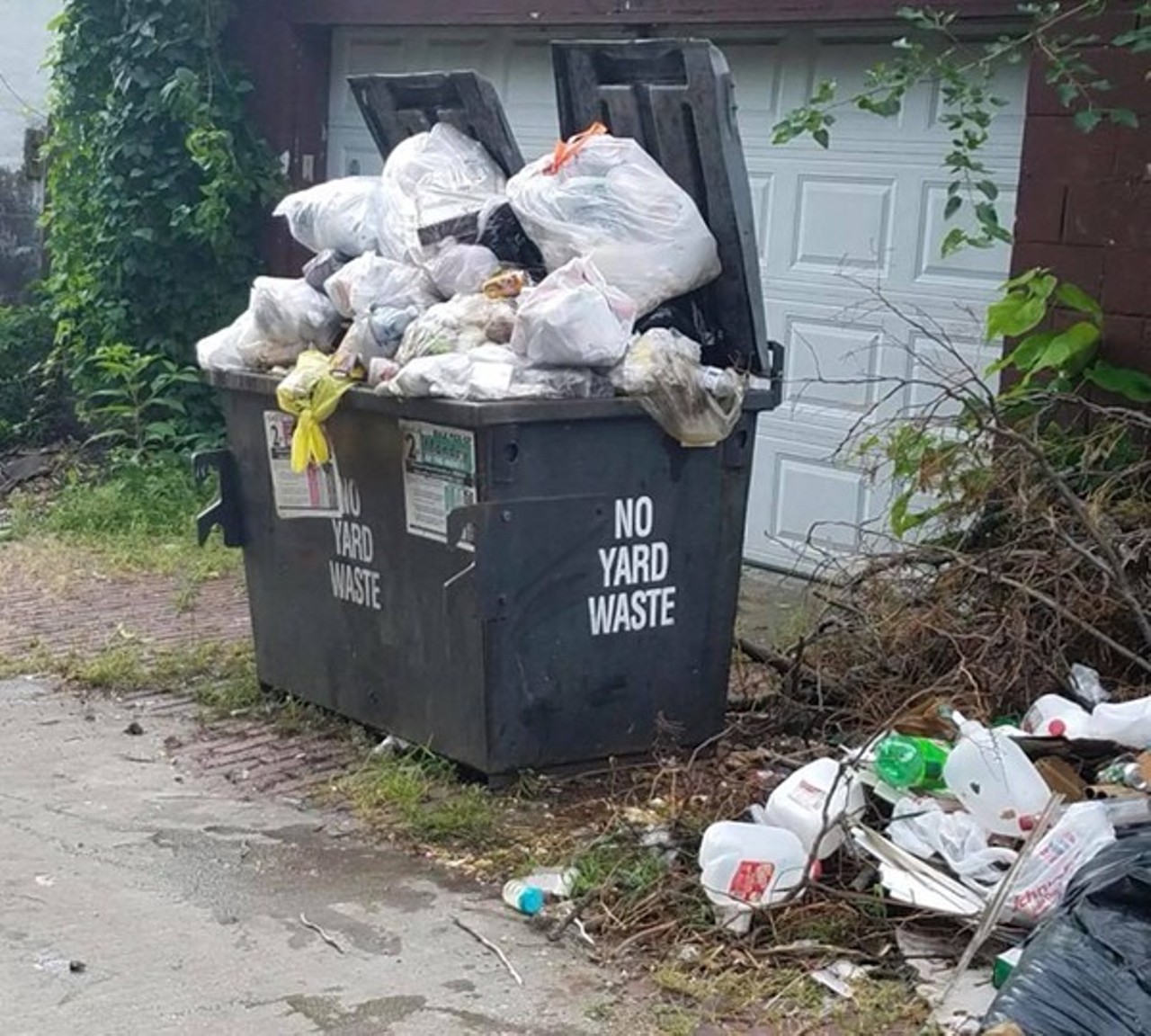 The city privatizing literally everything to pay for one working garbage truck.
Soon every road will be a toll road, mark our words.
Photo courtesy of Cara Spencer