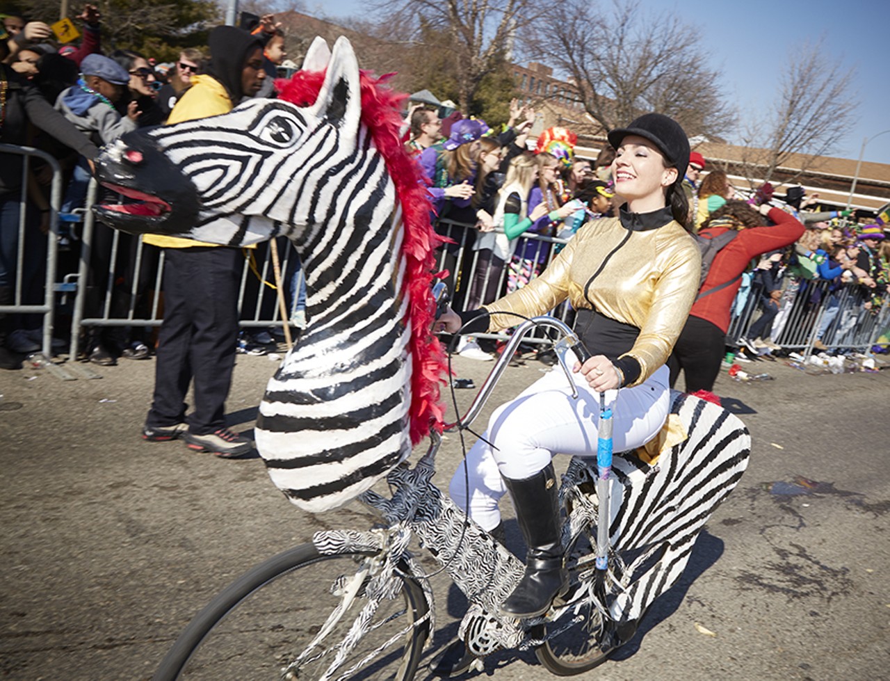 This lady regally pedaling a zebra.