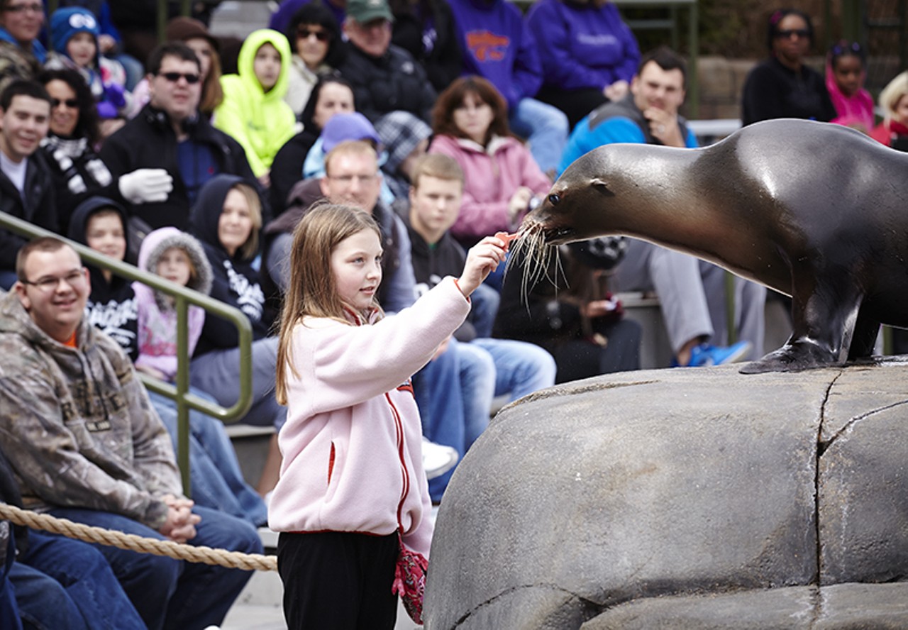 A Spring Weekend at the Saint Louis Zoo