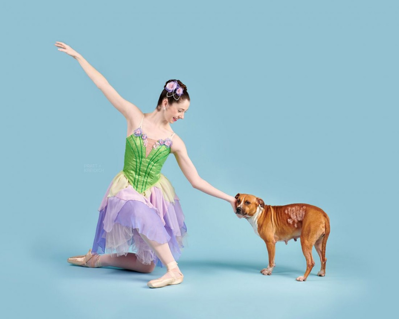Adoptable St. Louis Dogs Met with Nutcracker Ballerinas and It Gave Us Feelings