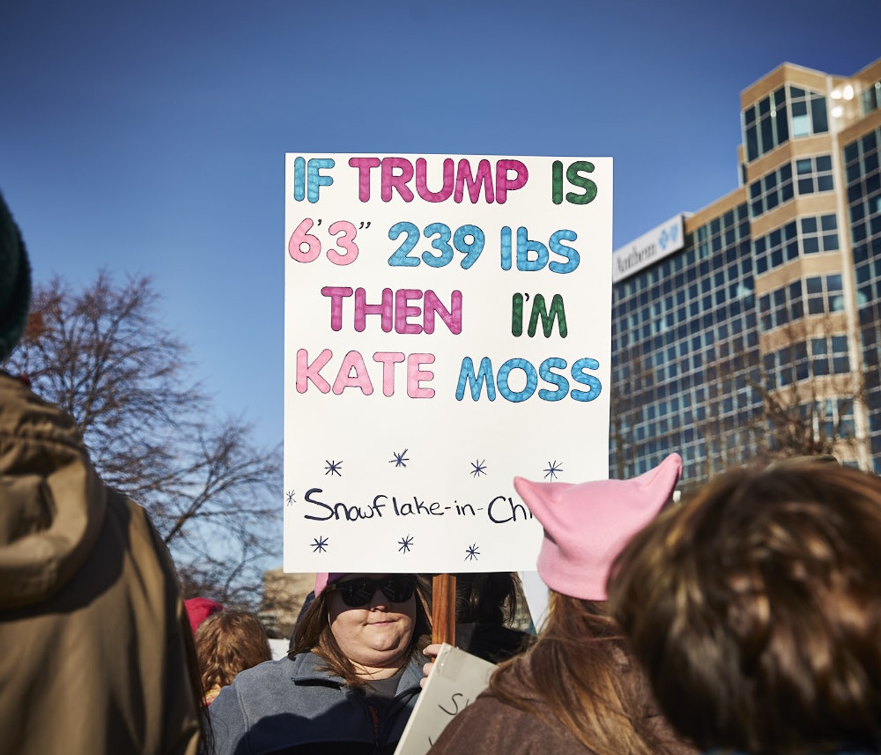 Second annual Women's March in downtown St. Louis on January 20, 2018.
