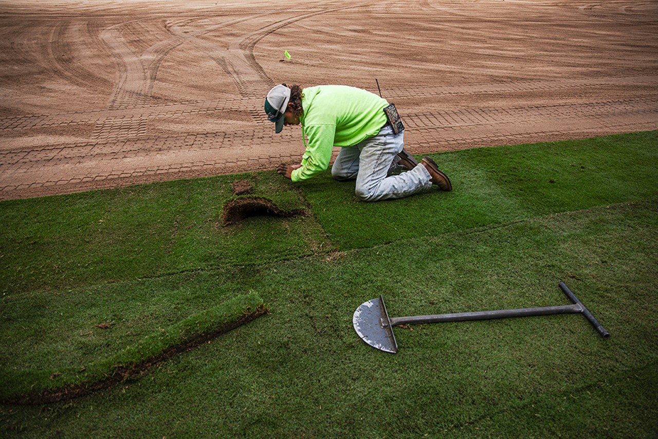 Joseph Diulio lines up two pieces of sod.