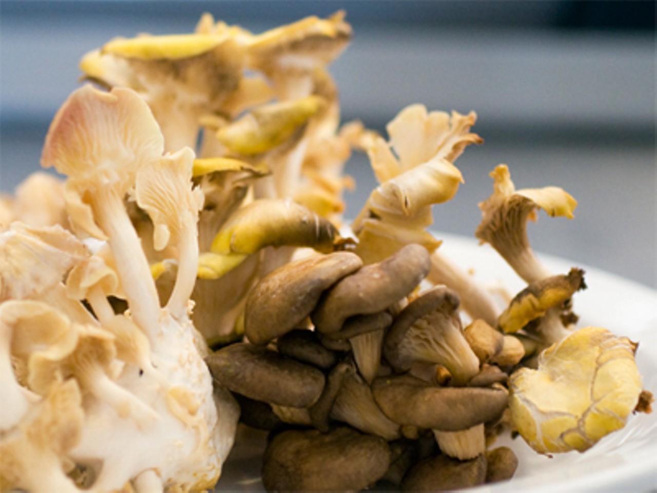 Mushrooms brought in fresh from Ozark Forest Mushrooms. Read Ian Froeb's review: "Plant Power: Local Harvest Caf&ecirc; embodies a welcome new concept in sustainable chowing-down."