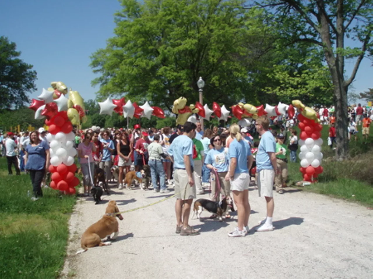 Bark in the Park - The Observer