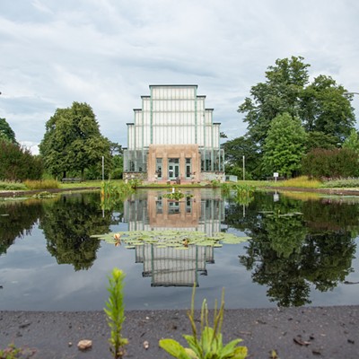 Peeking in the reflecting pool is one of the most prettiest ways to view the Jewel Box in Forest Park.