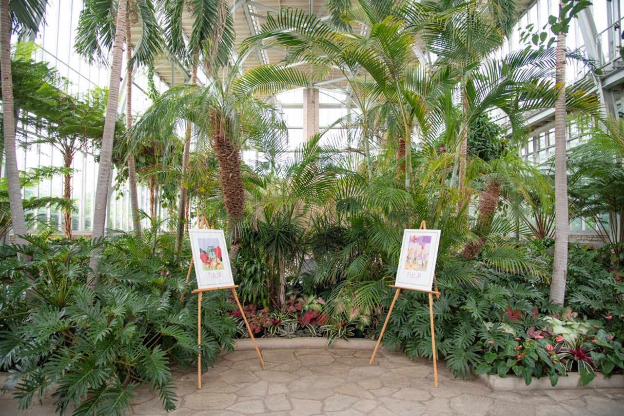 When the Jewel Box isn't filled with a wedding party, they often have botanical prints in the space for sale to help support the park.