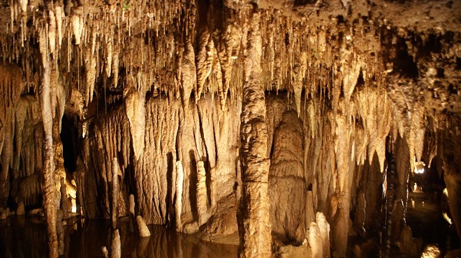 Meramec Caverns Natural Campground.